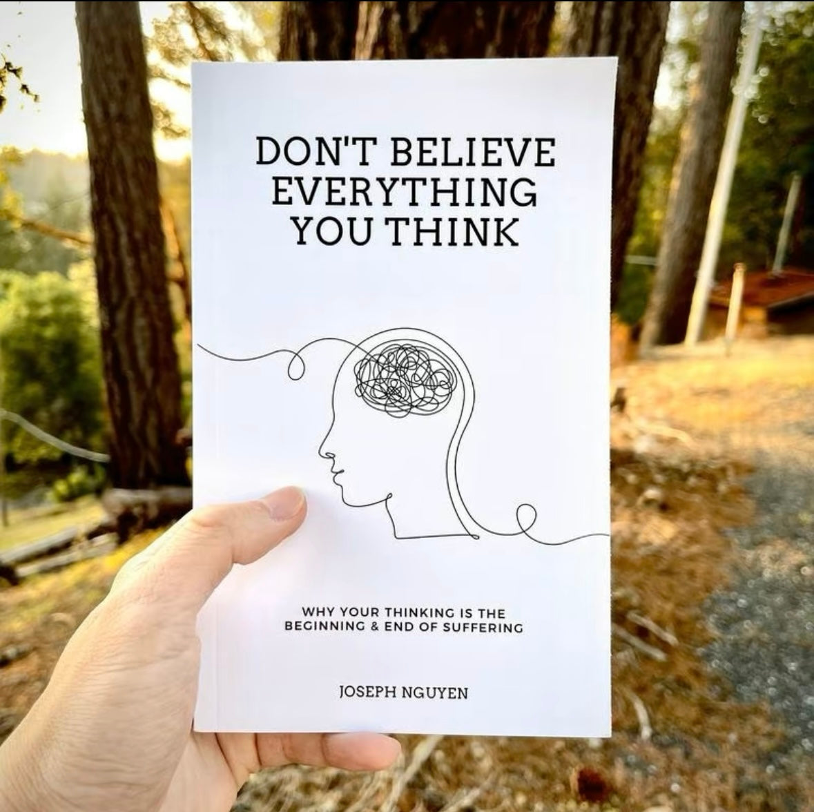 Don't Believe Everything You Think by Joseph Nguyen Why Your Thinking Is the Beginning & End of Suffering Paperback English Book